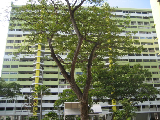 Marine Crescent thumbnail photo